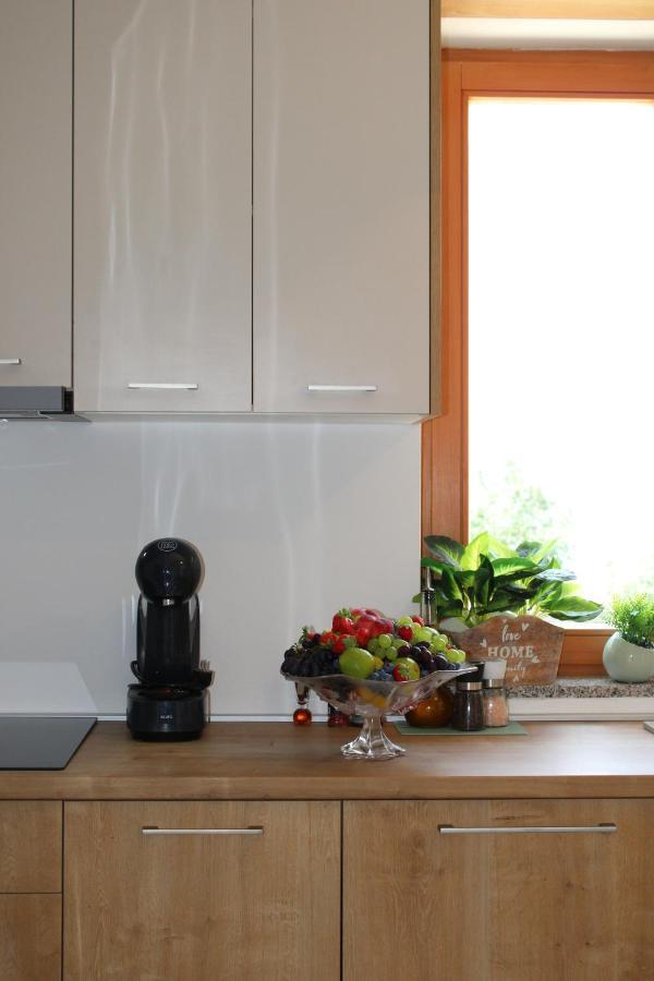 Apartment Noel Sveti Vid-Miholjice Εξωτερικό φωτογραφία
